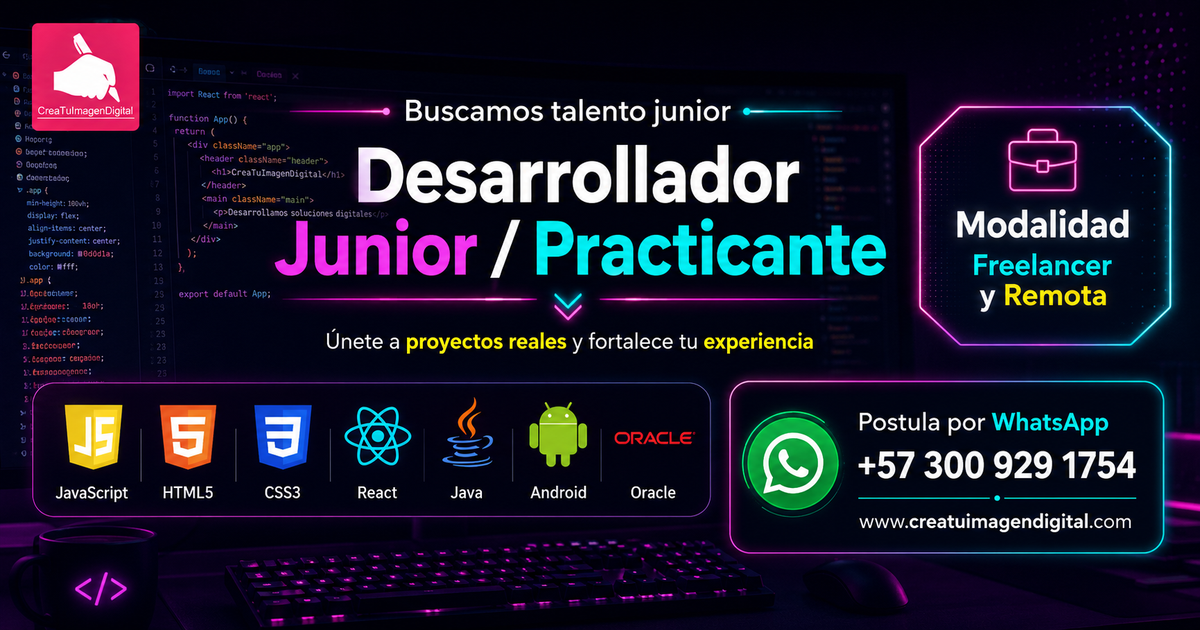 Programador Desarrollador