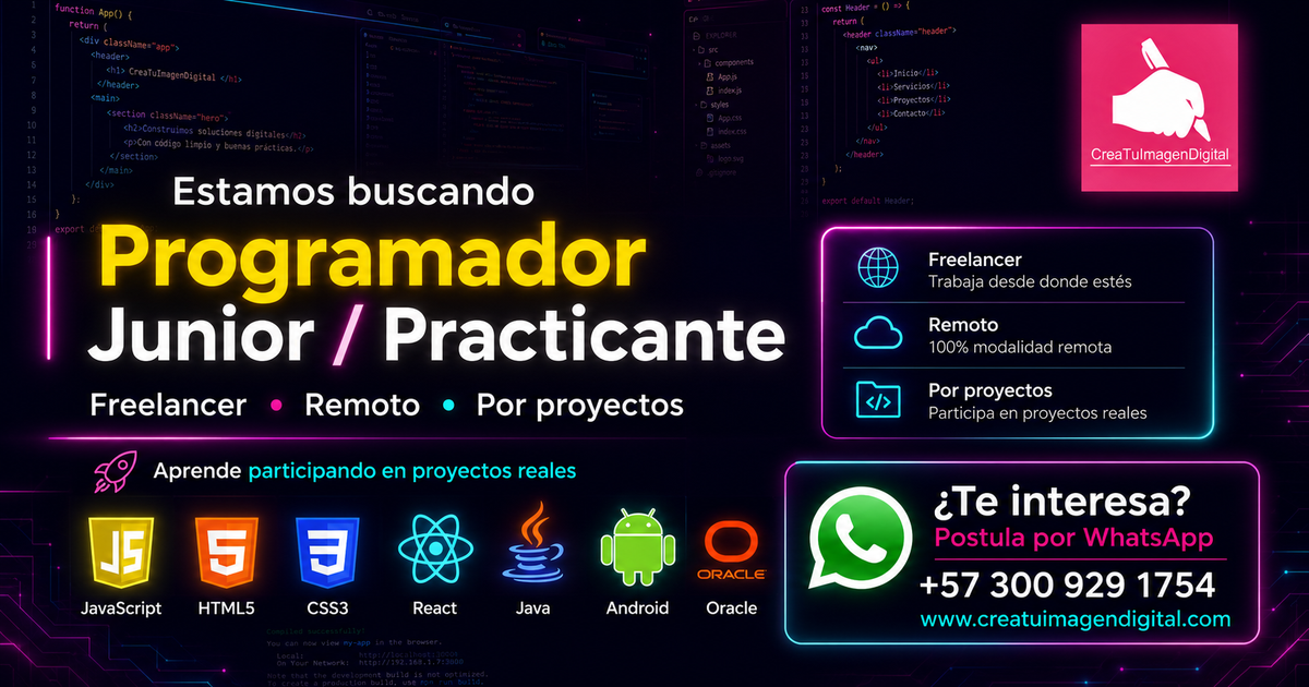 Programador Desarrollador