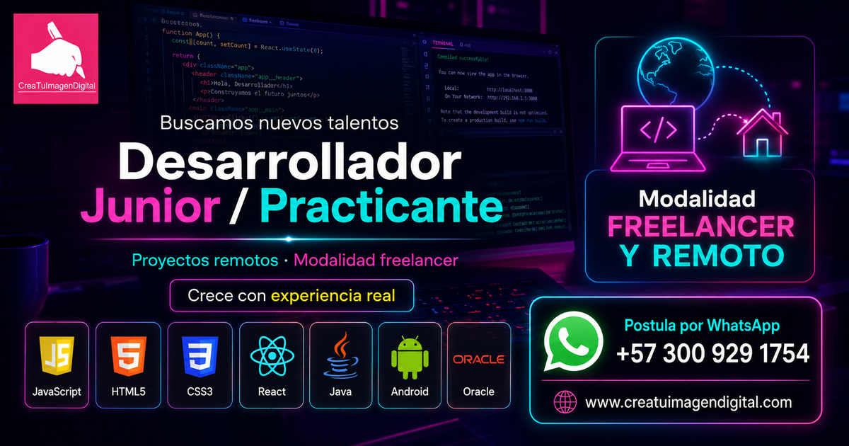 Programador Desarrollador